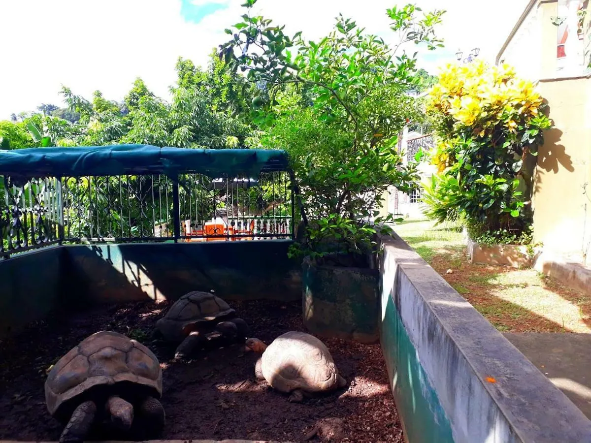 Apartmán Hibiscus House Seychelles Self Catering Victoria
